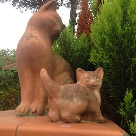 Il Casale Di Nanni 3* Lucca